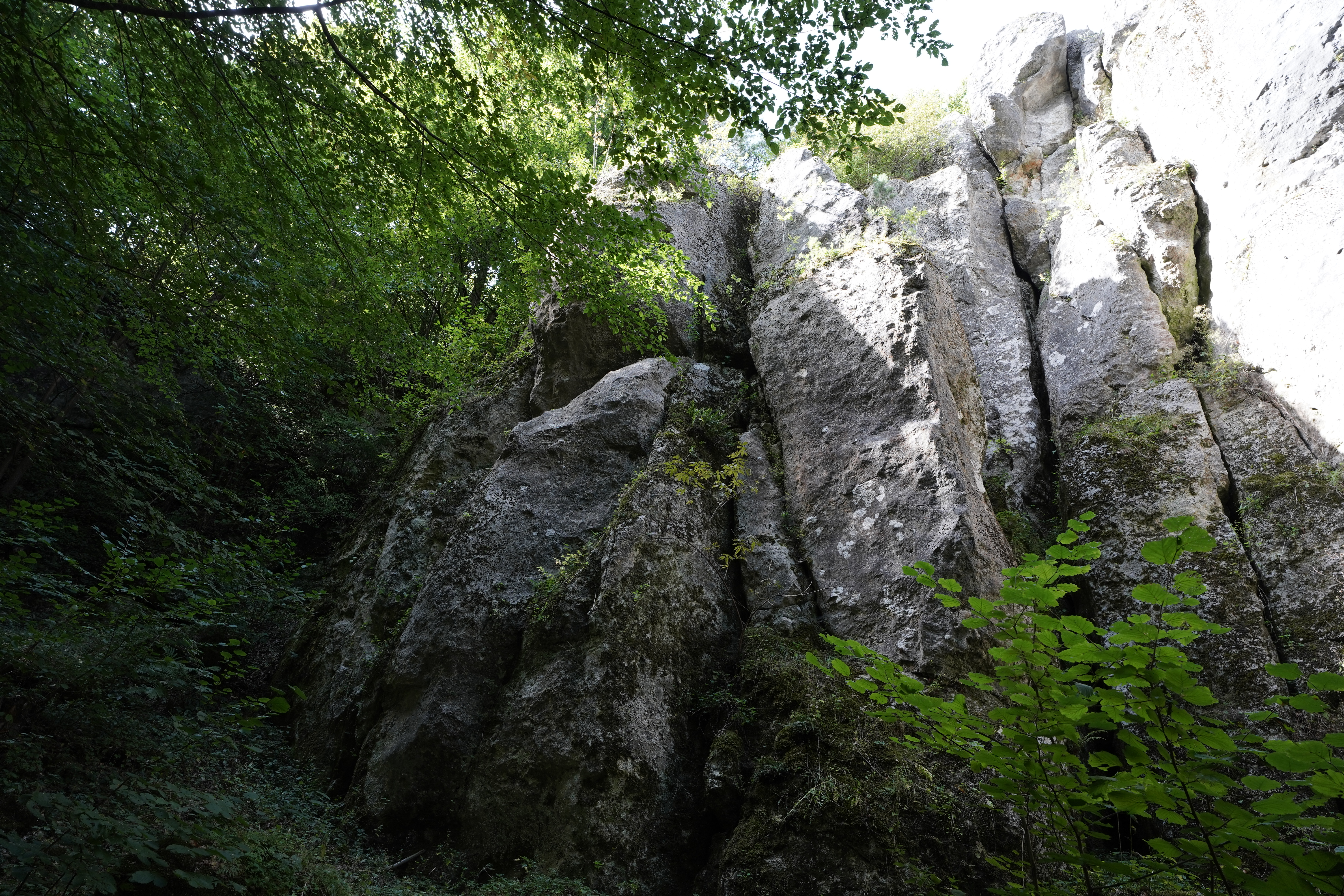 Skalki app interface