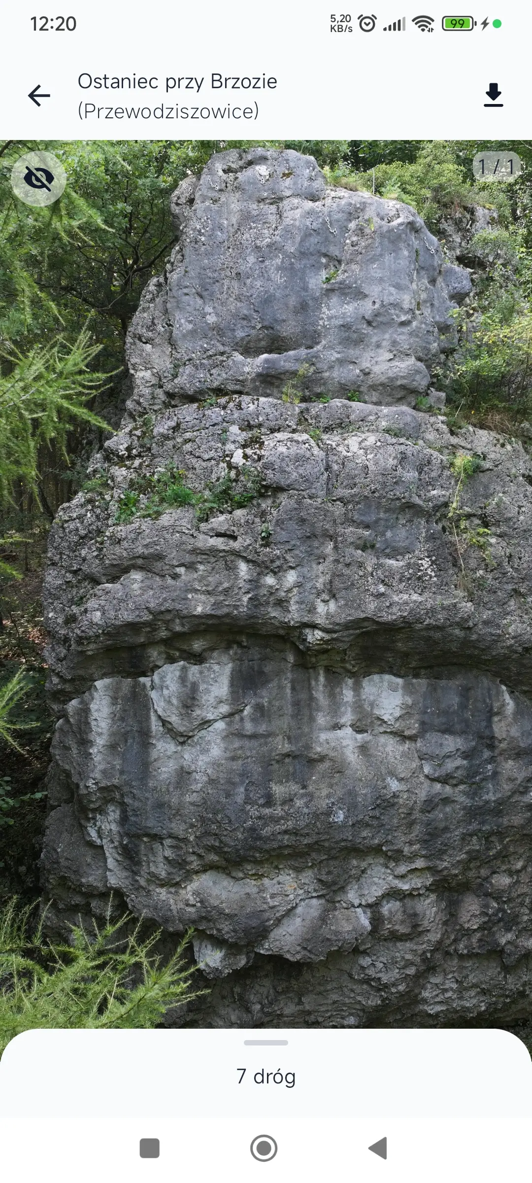 Topo skałki - widok bez oznaczonych dróg wspinaczkowych